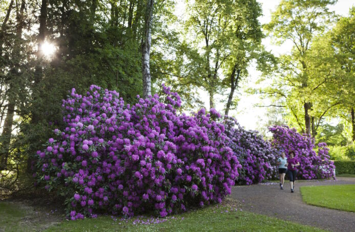 Die Kraft der Natur nutzen