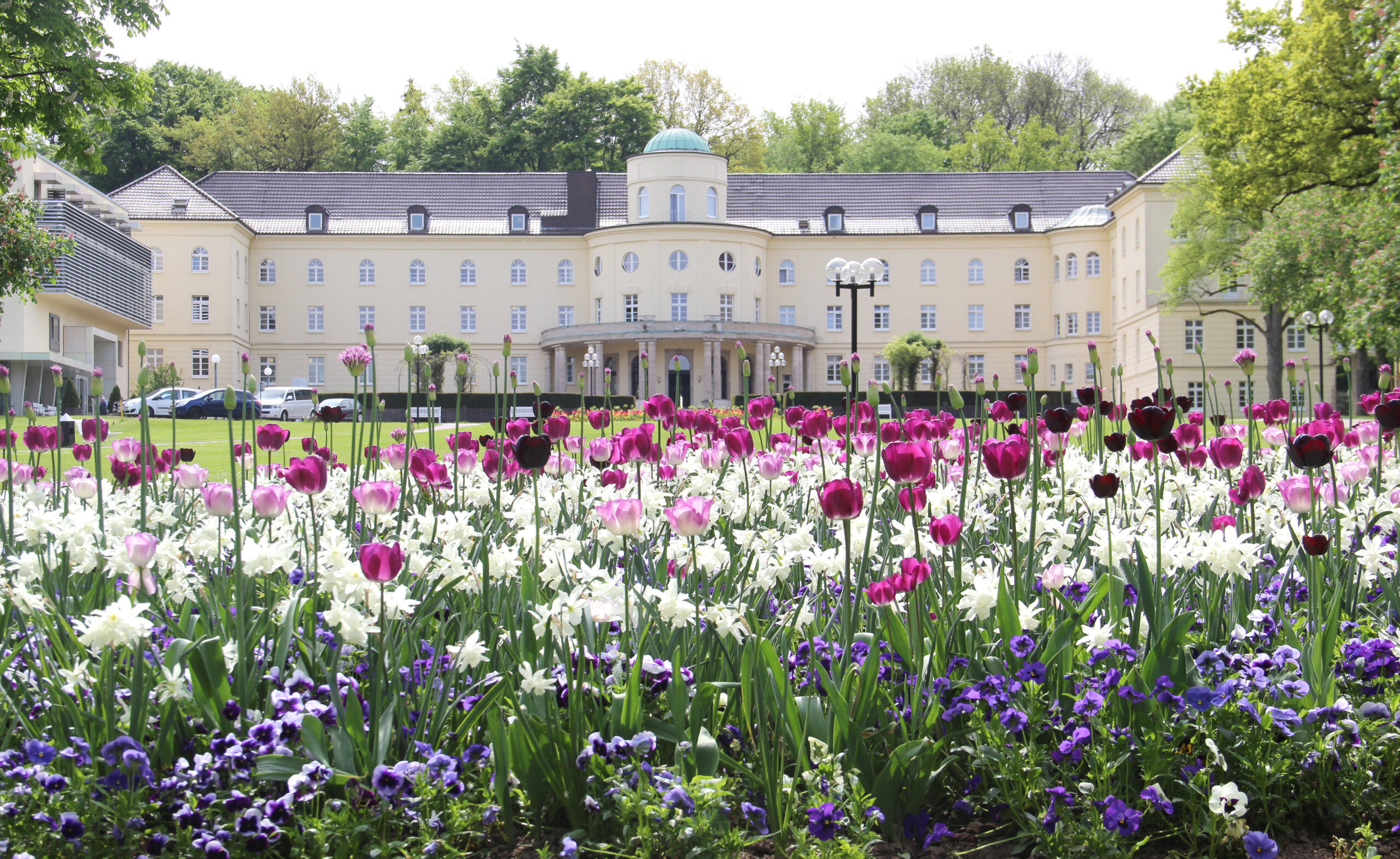 Park Klinik Gräfliche Kliniken