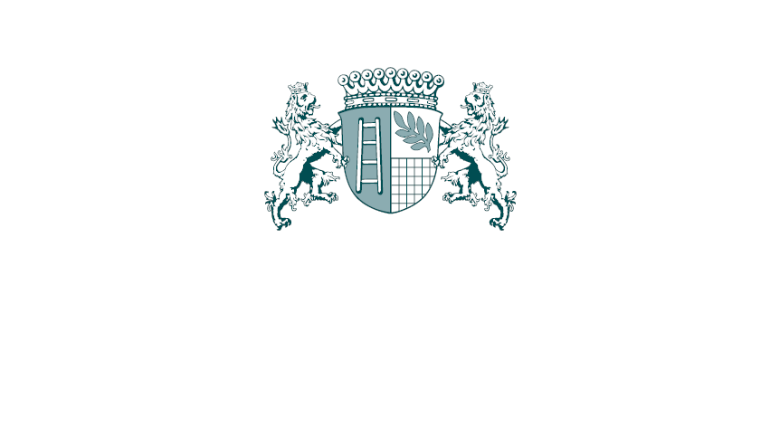 Logo PK negativ
