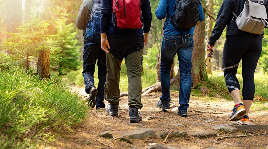 Eine Wanderung im Wald in der Sporttherapie