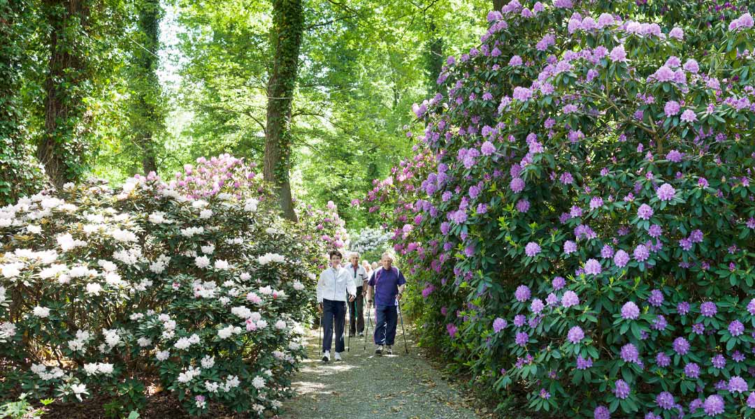 Nordic Walking im Park