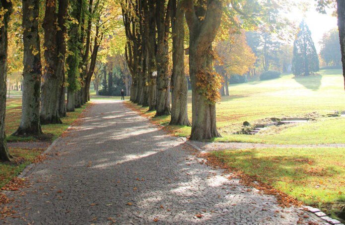 Unser Post-Corona-Konzept